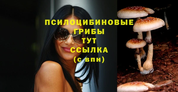 соль курить ск Заволжье