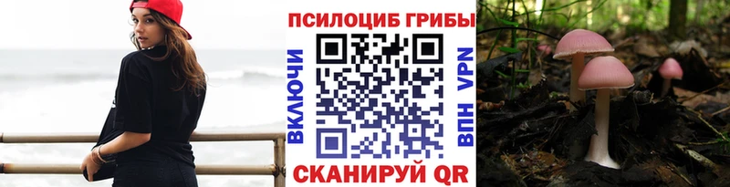 Псилоцибиновые грибы Magic Shrooms  Долгопрудный 